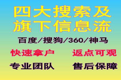 百度广告投放策略与效果评估案例